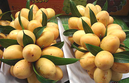 گاندریا (انبه ماریان)